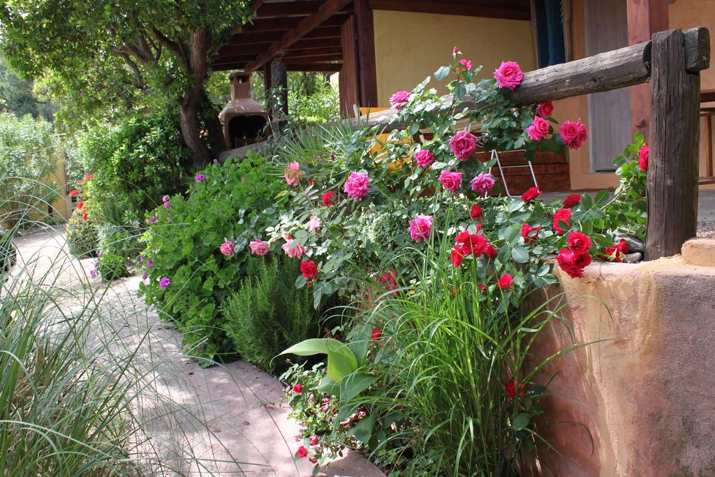 Les Bungalows De Figha Tarcu Exteriör bild